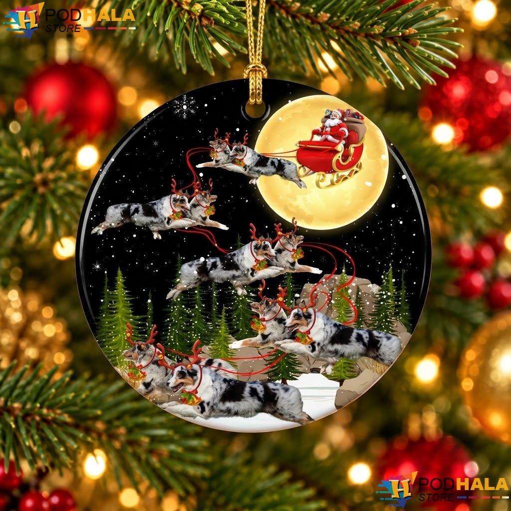 Australian Shepherd Christmas Ornament Dog Riding Santa Holiday Gift