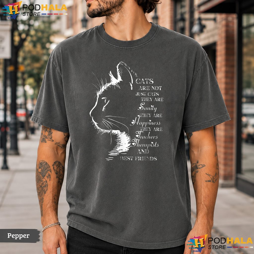 Cats Are Not Just Cats Comfort Colors T-Shirt Funny Cat Mom Dad Lover Top