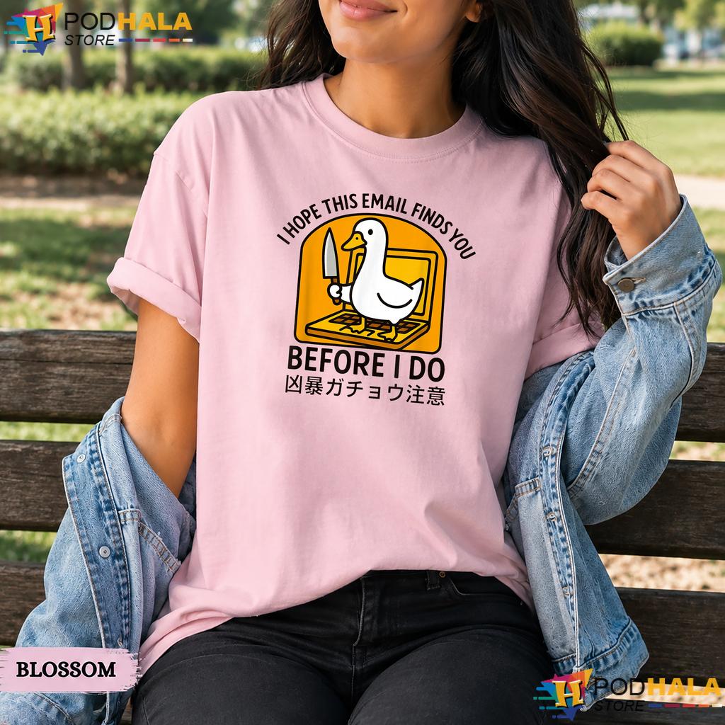 Hope Email Finds You Before I Do Comfort Colors T-Shirt Funny Goose Apparel