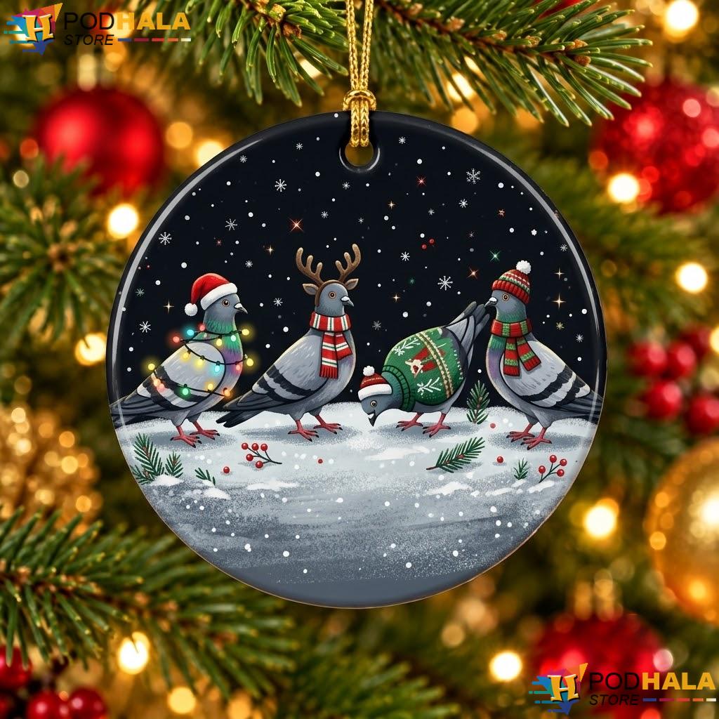 Pigeon Funny Bird Christmas Ornament Pullover Hoodie Holiday Decor Gift