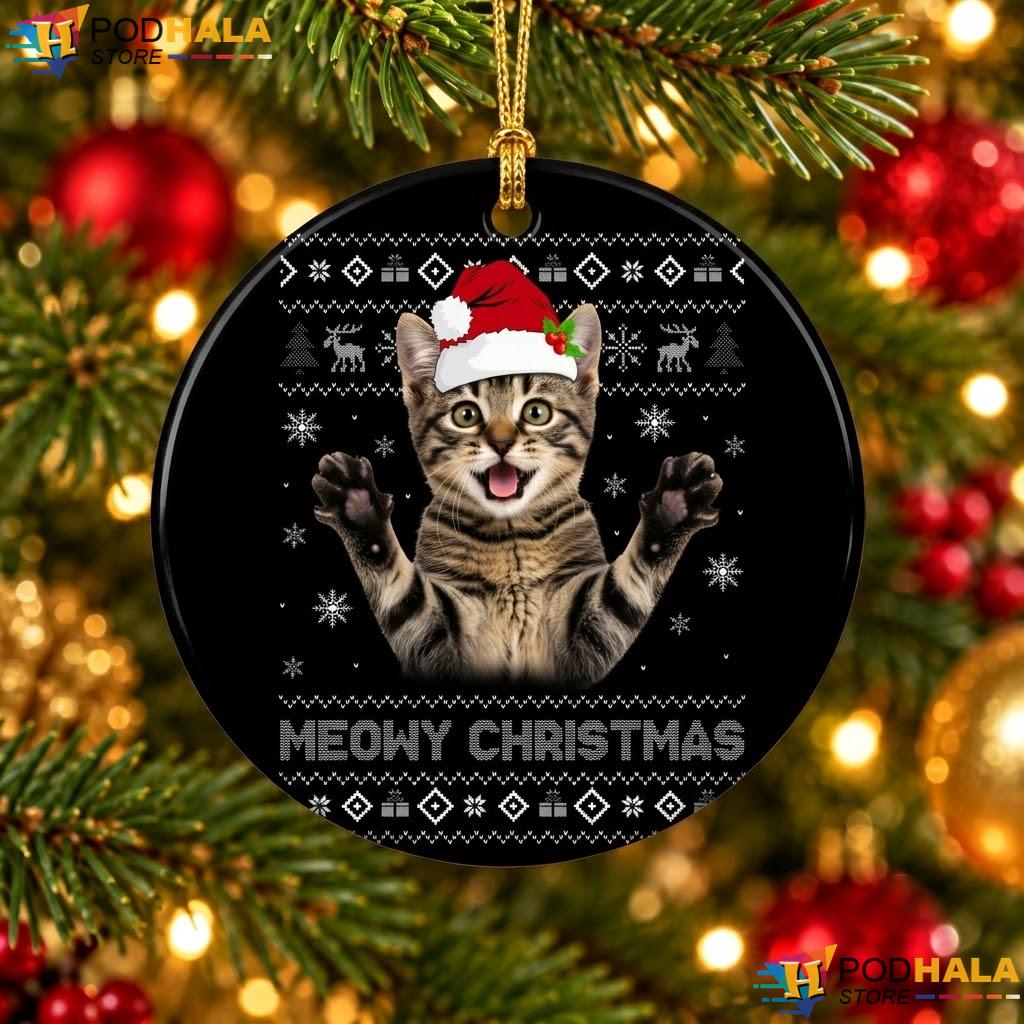 Santa Tabby Cat Christmas Ornament Funny Meowy Xmas Holiday Decor Gift