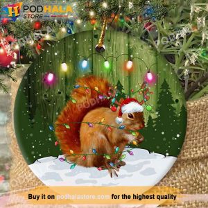 Squirrel Christmas Family Christmas Ornaments, Family Tree Ornaments