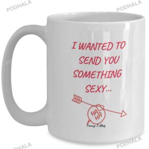 I Wanted To Send You Something Sexy Mug, Valentine Gift For Girlfriend
