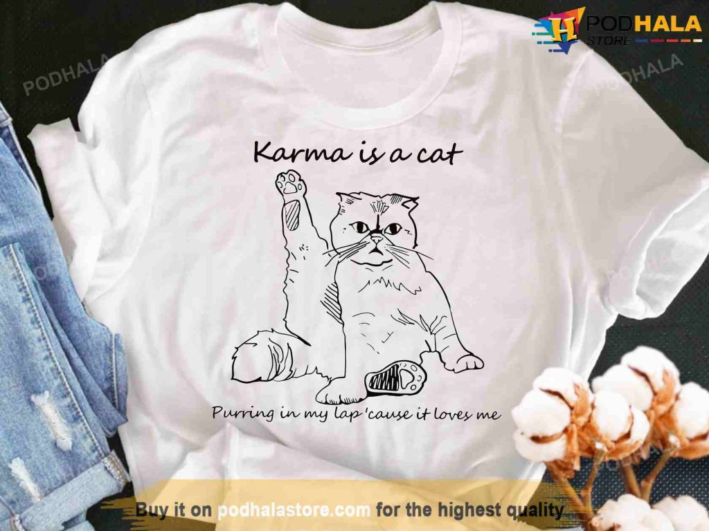 Me And Karma Vibe Like That Shirt, Karma Is A Cat Taylor Swift Shirt