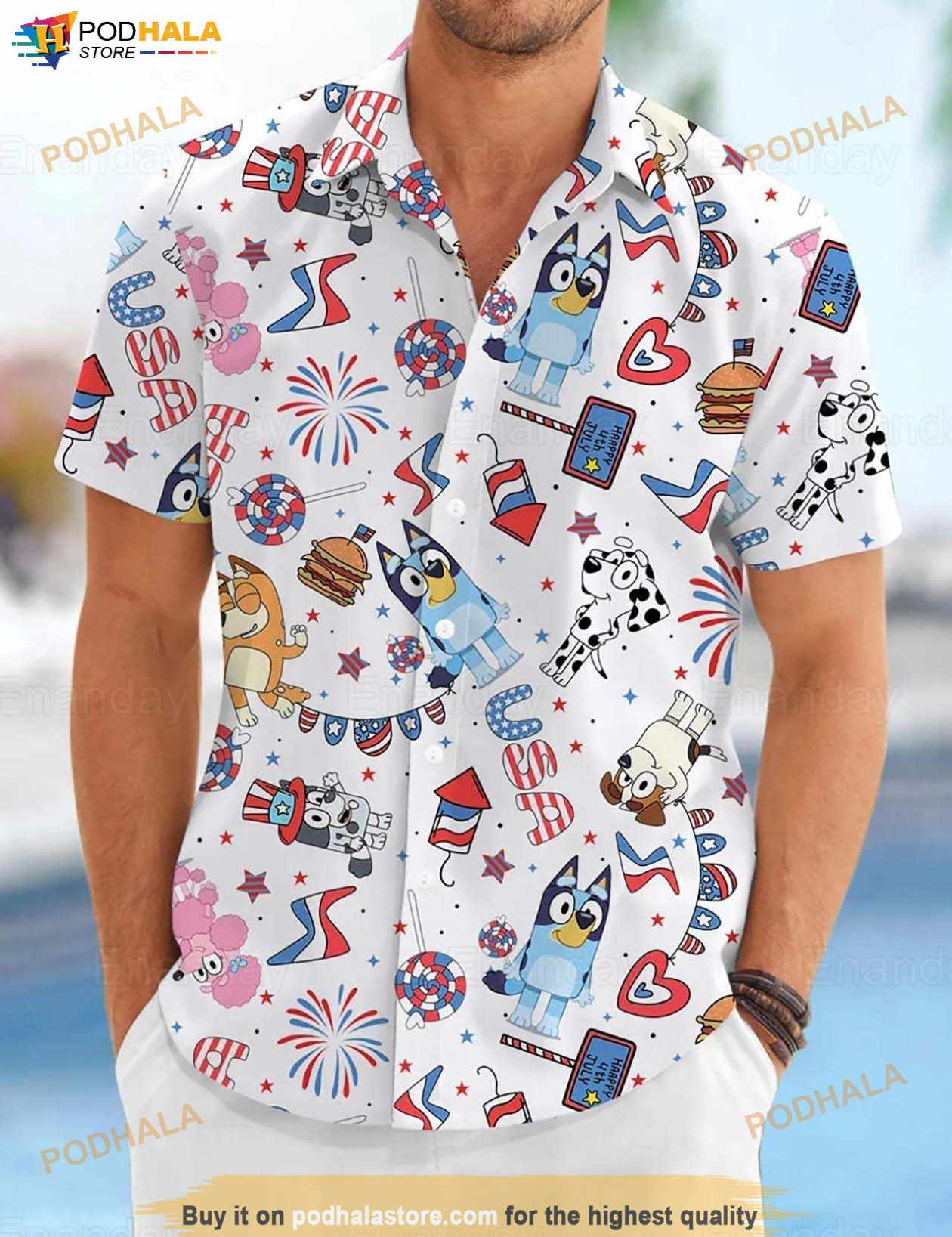 Bluey Friends Hawaiian Shirt, Bluey Birthday Gift, Bluey Button Up