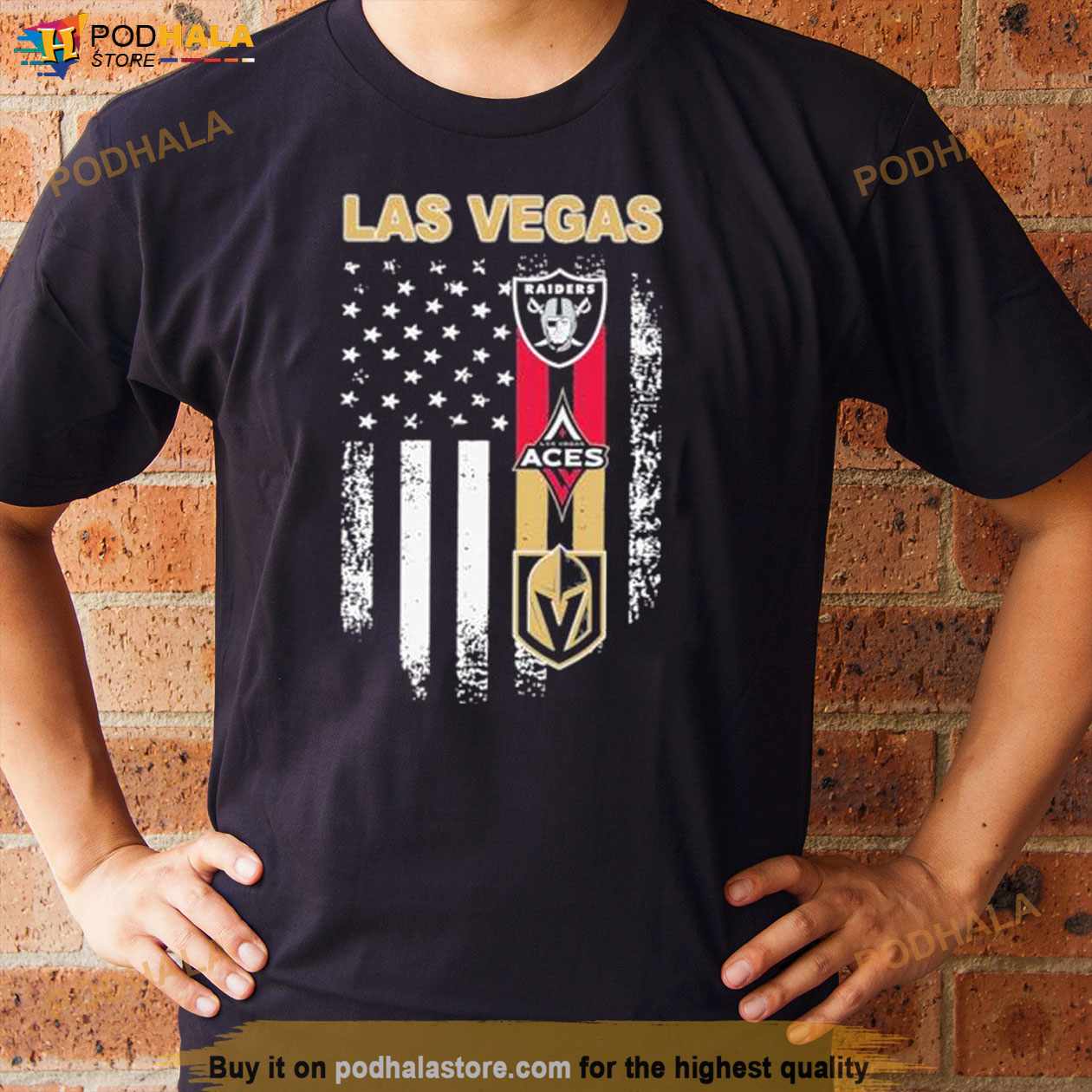 Golden Knights Raiders Las Vegas T-Shirt Black 18 Months