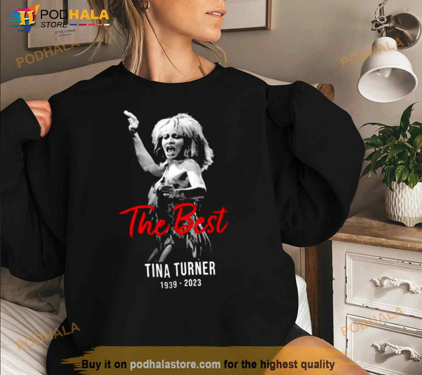 Tina Turner RIP 1939-2023, Tina Turner Musical Souvenir Memorial