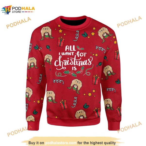 All I Want For Christmas Is You Christmas Sweater