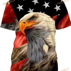 Bald Eagle In Stars And Stripes 3D Shirt