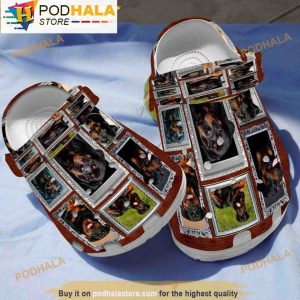 Huge Rottweiler Dog 3D Crocs, Funny Crocs