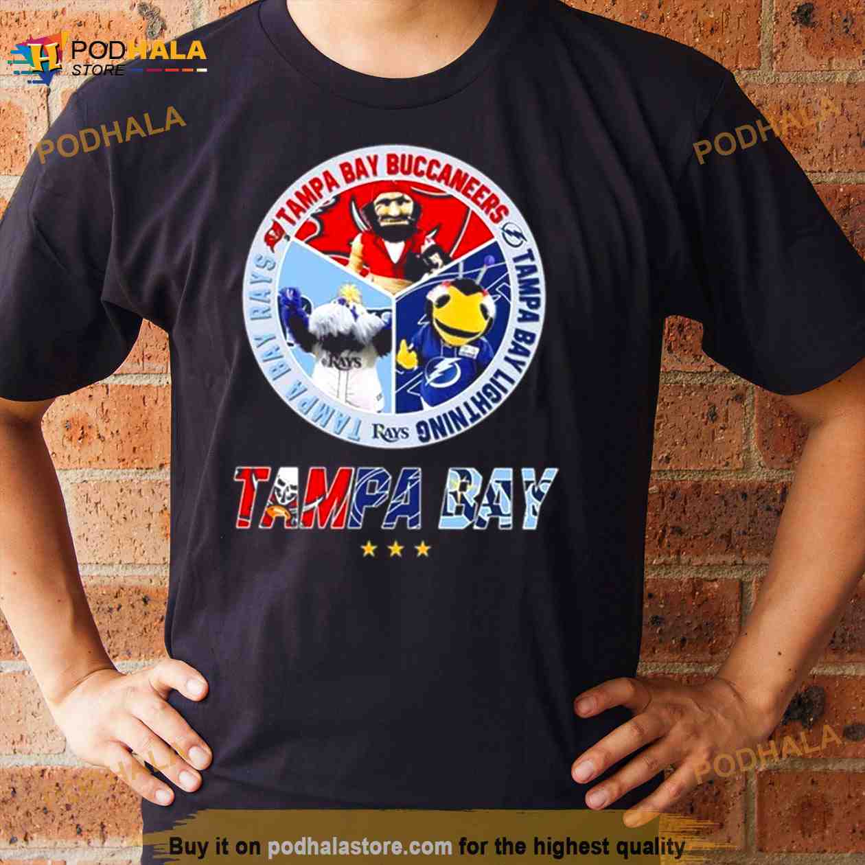Tampa Bay Buccaneers Tampa Bay Lightning Tampa Bay Rays logo shirt