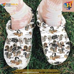 Types Of Squirrels Classic Crocs Clog Shoes 2