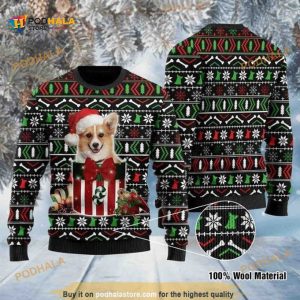 Christmas Patterns And Lovely Corgi In The Box 3D Funny Ugly Sweater, Funny Xmas Gifts