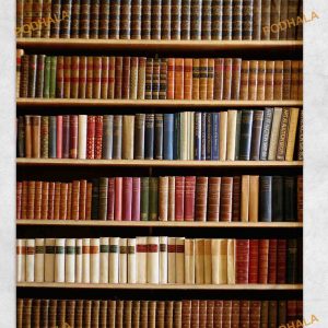 Book Reading Library Blanket, Librarian Blanket
