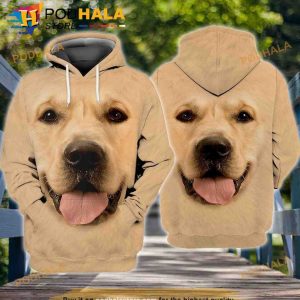 Golden Retriever Lovers 3D Hoodie, Christmas Gifts