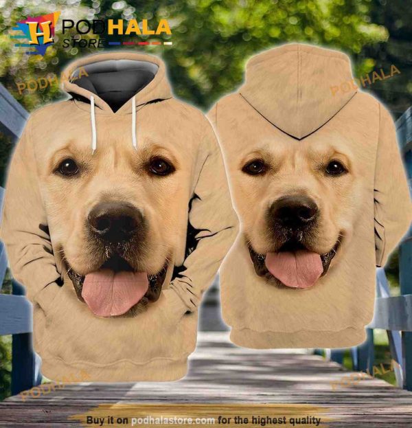 Golden Retriever Lovers 3D Hoodie, Christmas Gifts
