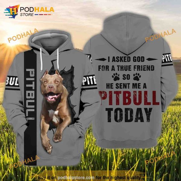Love Pitbull I Asked God For A True Friend So He Sent Me A Pitbull Today 3D Hoodie
