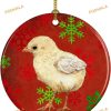 Baby Chick Snowflake Ornament, Personalized Family Christmas Ornaments