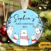 Baby's First Christmas 2023, Personalized Forest Animal Ornament