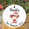 Baby's First Christmas Monkey Ornament 2023, Personalized Family Ornaments