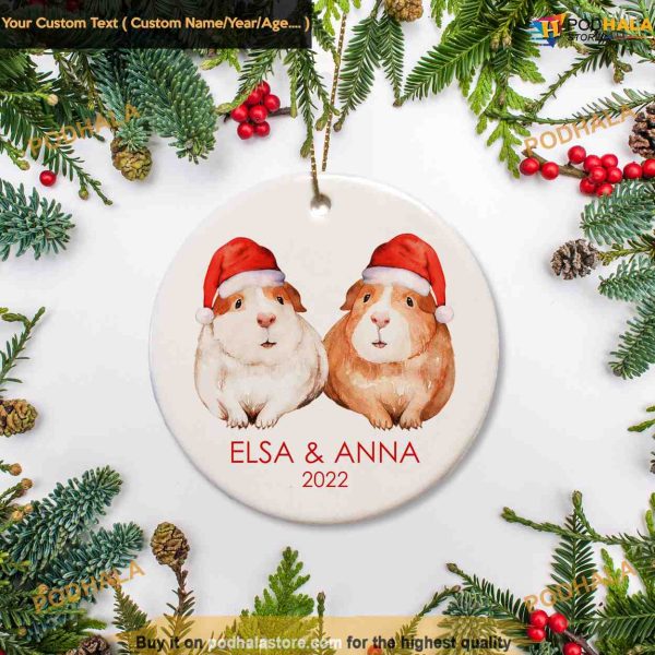 Baby’s First Christmas Ornament, Custom Family Ornaments