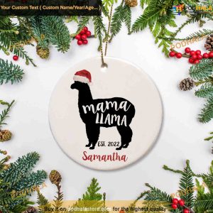 Baby's First Christmas Ornament, Family Christmas Tree Ornaments
