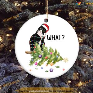 Black Cat Christmas Ornament, Funny Christmas Ornaments