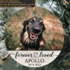 Custom Dog Ornaments Memorial 2023 Ornament Christmas Loss, Pet Sympathy Gift