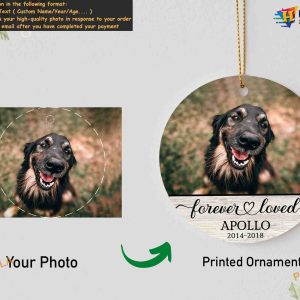 Custom Dog Ornaments Memorial 2023 Ornament Christmas Loss Pet Sympathy Gift 2