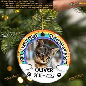 Custom Photo Ornament Rainbow Bridge Memorial for Dog Cat Lovers 2