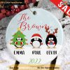 Customized Christmas Penguin Ornament, Family Christmas Ornaments