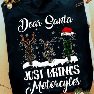 Dear Santa Just Brings Motorcycles Christmas Gift For Bikers, Christmas Shirt