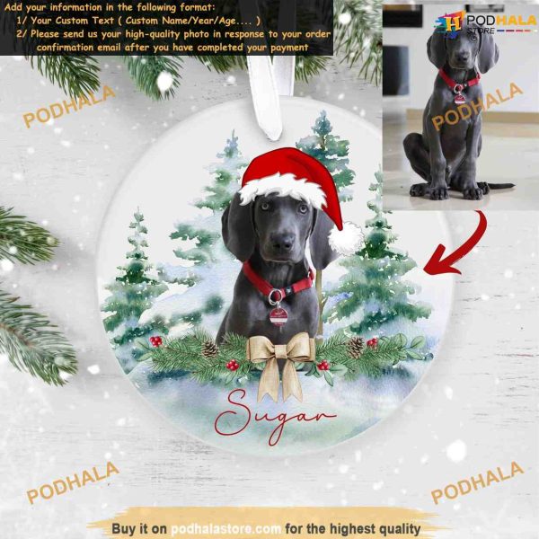 Dog Christmas Custom 2023 Ornament, Personalized Photo Ornaments