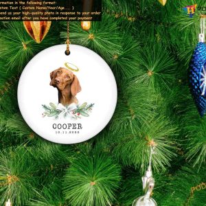 Dog Memorial Custom Ornament Christmas Gift for Owners Loss from Photo 2