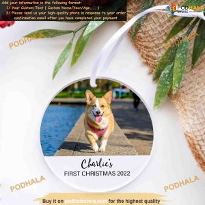 Dog's 1st Christmas Custom Ornament, Personalized Family Ornaments