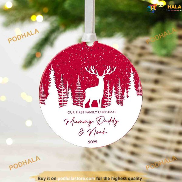 First Family Christmas, Personalized Mirror Ornament