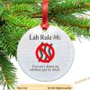 Lab Rule 6 Christmas Ornament, Personalized Family Ornaments