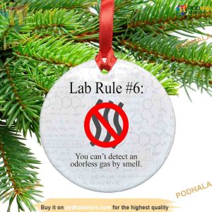 Lab Rule 6 Christmas Ornament, Personalized Family Ornaments