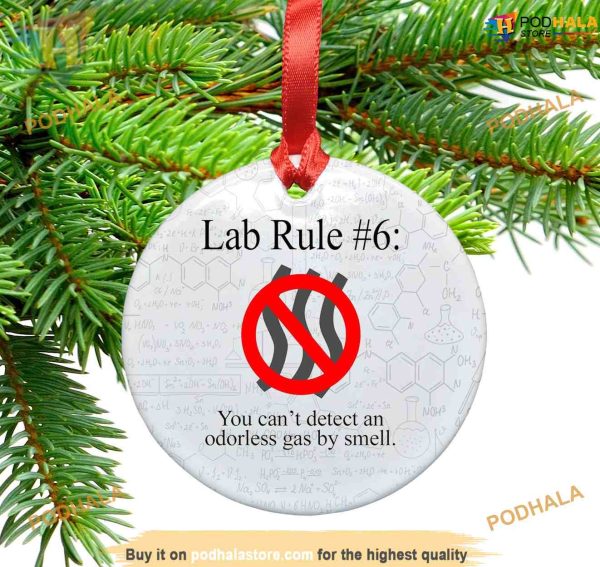 Lab Rule 6 Christmas Ornament, Personalized Family Ornaments