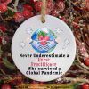 Nurse Practitioner Christmas Decor, Nurse Xmas Ornaments Gift