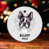 Personalized Boston Terrier Festive Gift, Christmas Ornament for Dog Lovers Memorial