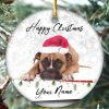 Personalized Boxer Puppy Pet Christmas Ornament, Family Tree Decoration