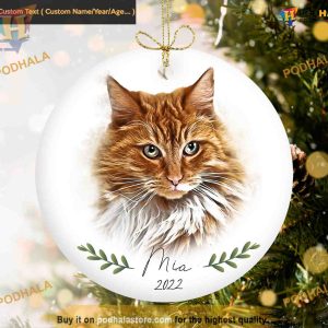 Personalized Custom Cat Ornament, Family Christmas Ornaments