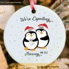 Personalized Expecting Baby Twins Ornament, Family Christmas Tree Ornaments