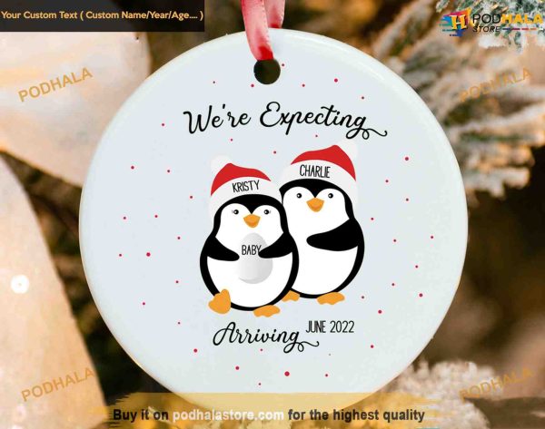 Personalized Expecting Baby Twins Ornament, Family Christmas Tree Ornaments