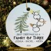 Personalized Family New Baby Christmas Ornament 2023, Family of Three Christmas Ornament