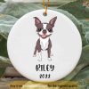 Personalized Festive Boston Terrier Ornament, Christmas Memorial for Dog Fans