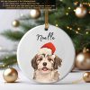 Personalized Pet Photo Ornament Using Pet's Photo and Name