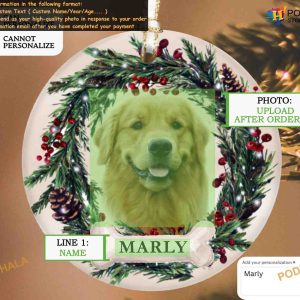 Pet Christmas Ornament Personalized Photo and Name Dog Cat Pet Memorial Portrait 2