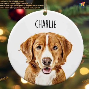 Pet Portrait Ornament Using Pet's Photo and Name, Personalized Dog